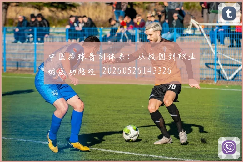 中国排球青训体系:从校园到职业的成功路径_20260526143326
